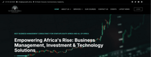 "AI-enhanced web design project by Allsorts Web Designers for TapWealth Africa